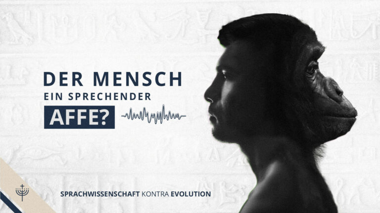 r005-02-offen-sprache